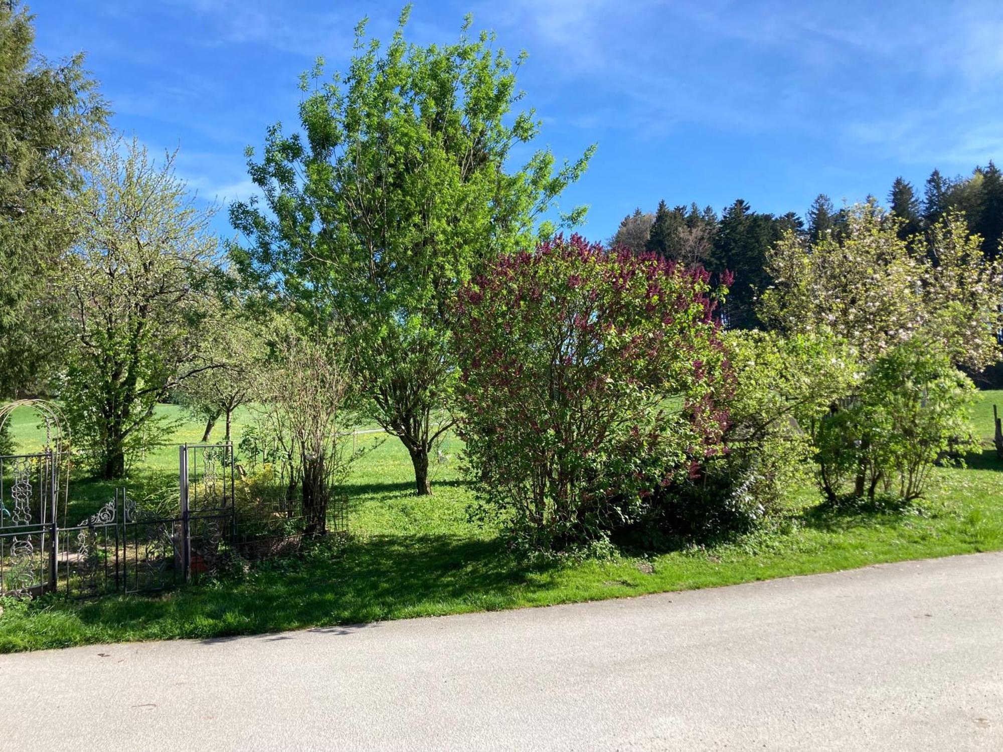 Obereggut Apartamento Hof bei Salzburg Exterior foto