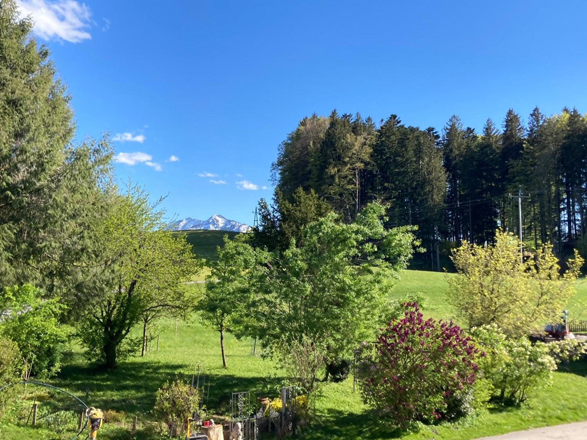 Obereggut Apartamento Hof bei Salzburg Exterior foto