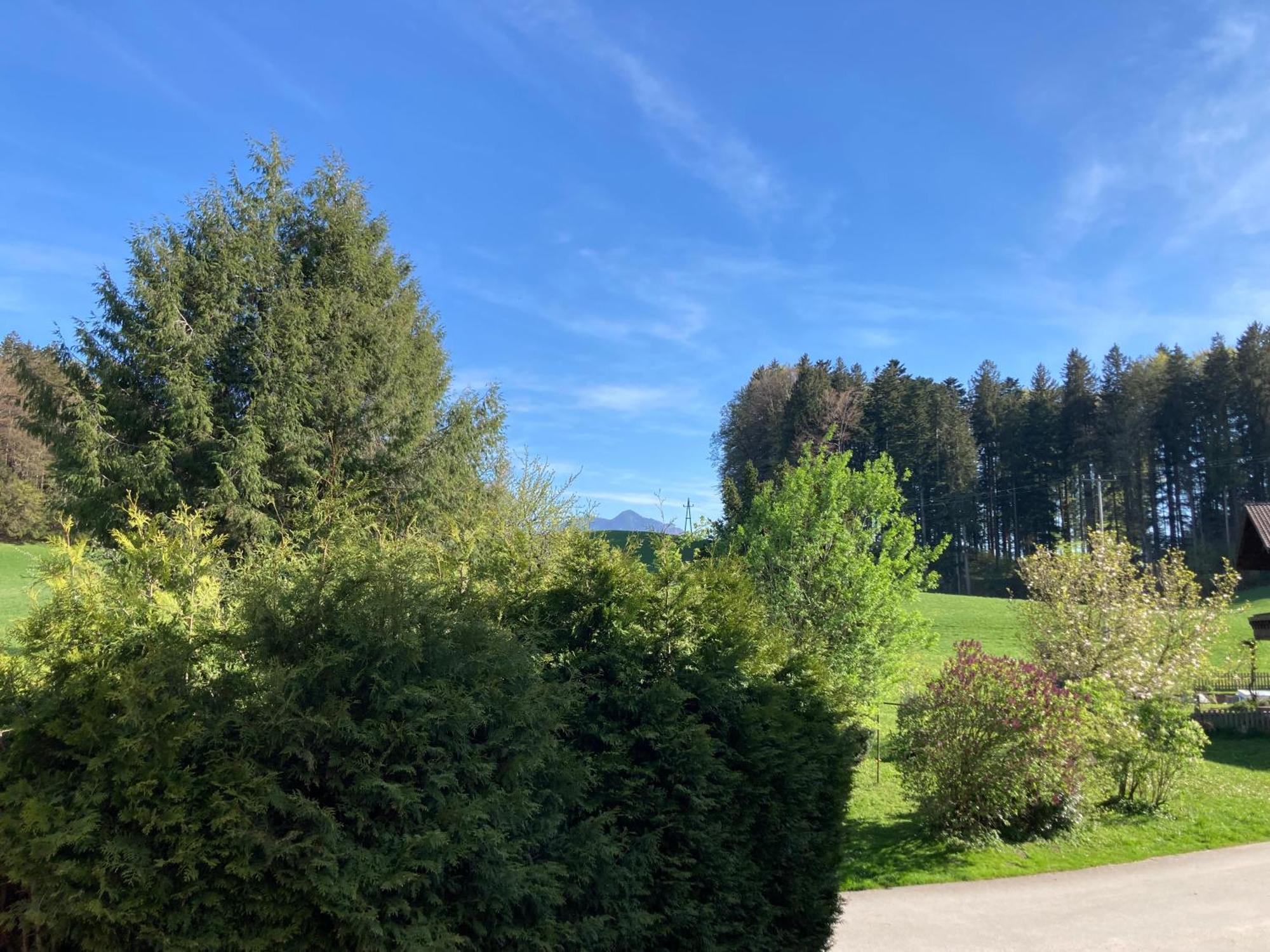 Obereggut Apartamento Hof bei Salzburg Exterior foto