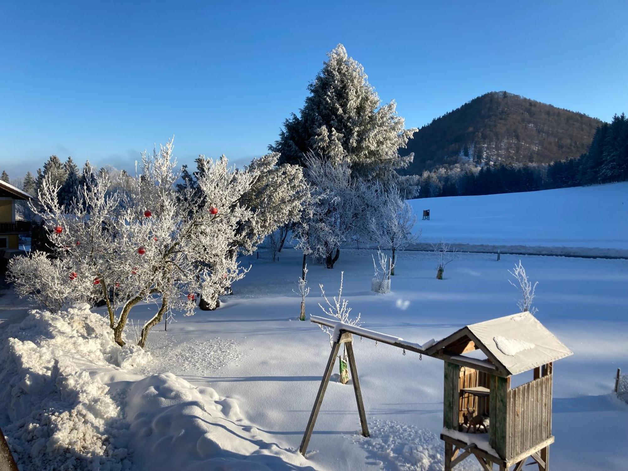 Obereggut Apartamento Hof bei Salzburg Exterior foto