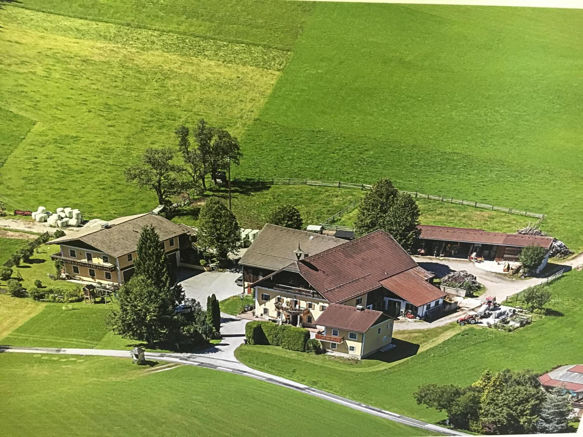 Obereggut Apartamento Hof bei Salzburg Exterior foto