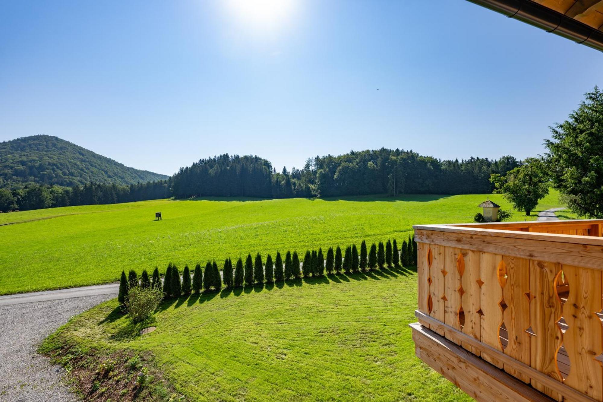 Obereggut Apartamento Hof bei Salzburg Exterior foto