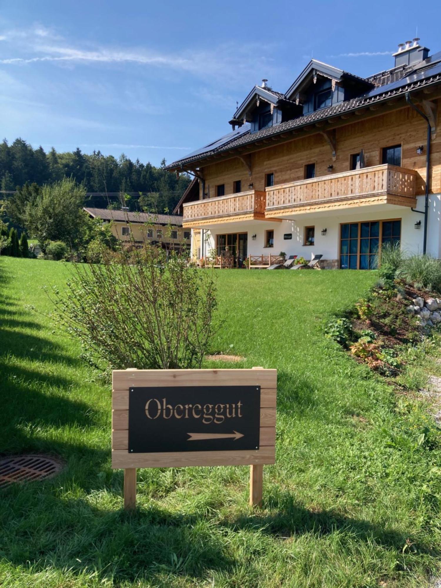 Obereggut Apartamento Hof bei Salzburg Exterior foto