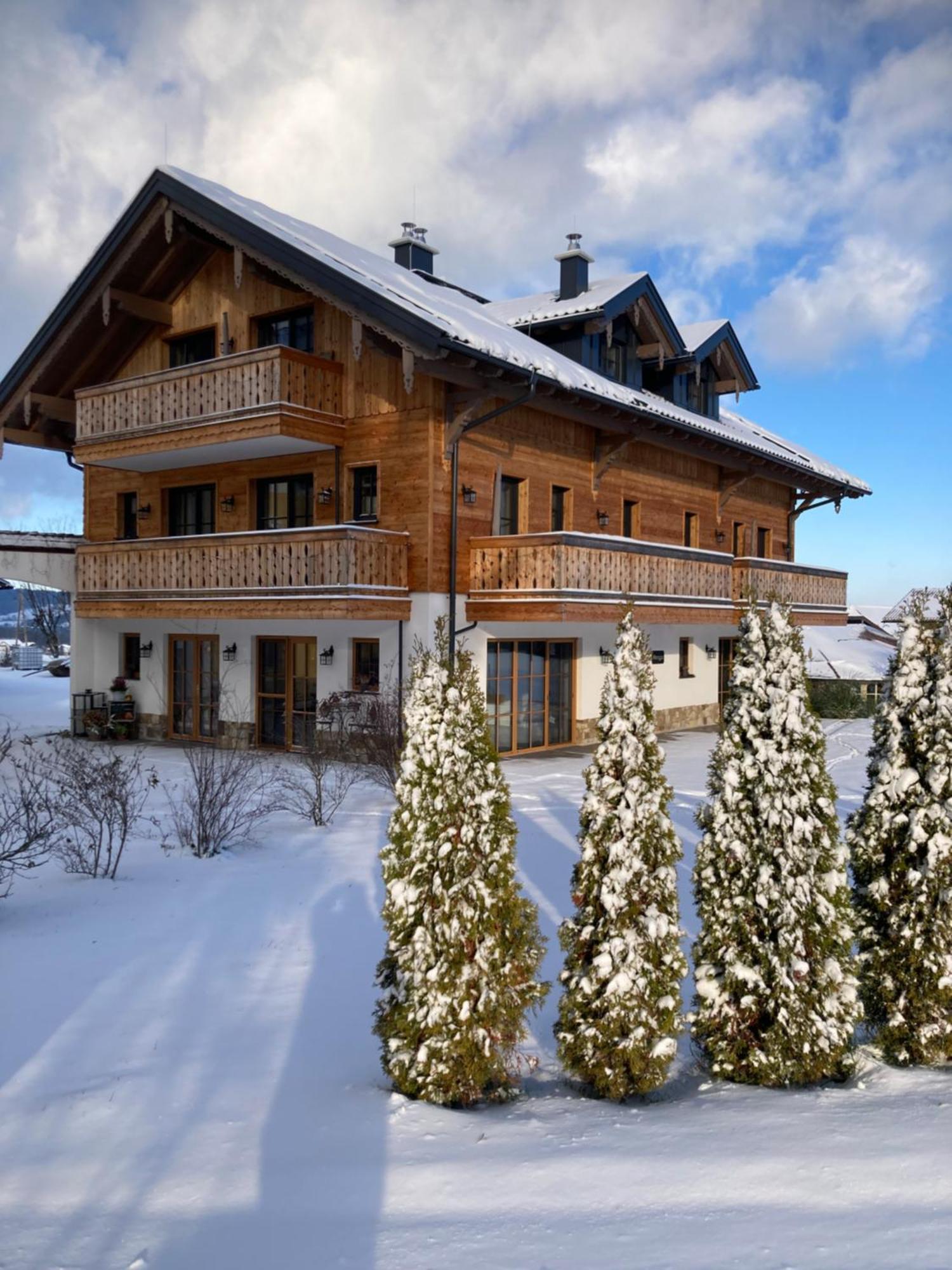 Obereggut Apartamento Hof bei Salzburg Exterior foto