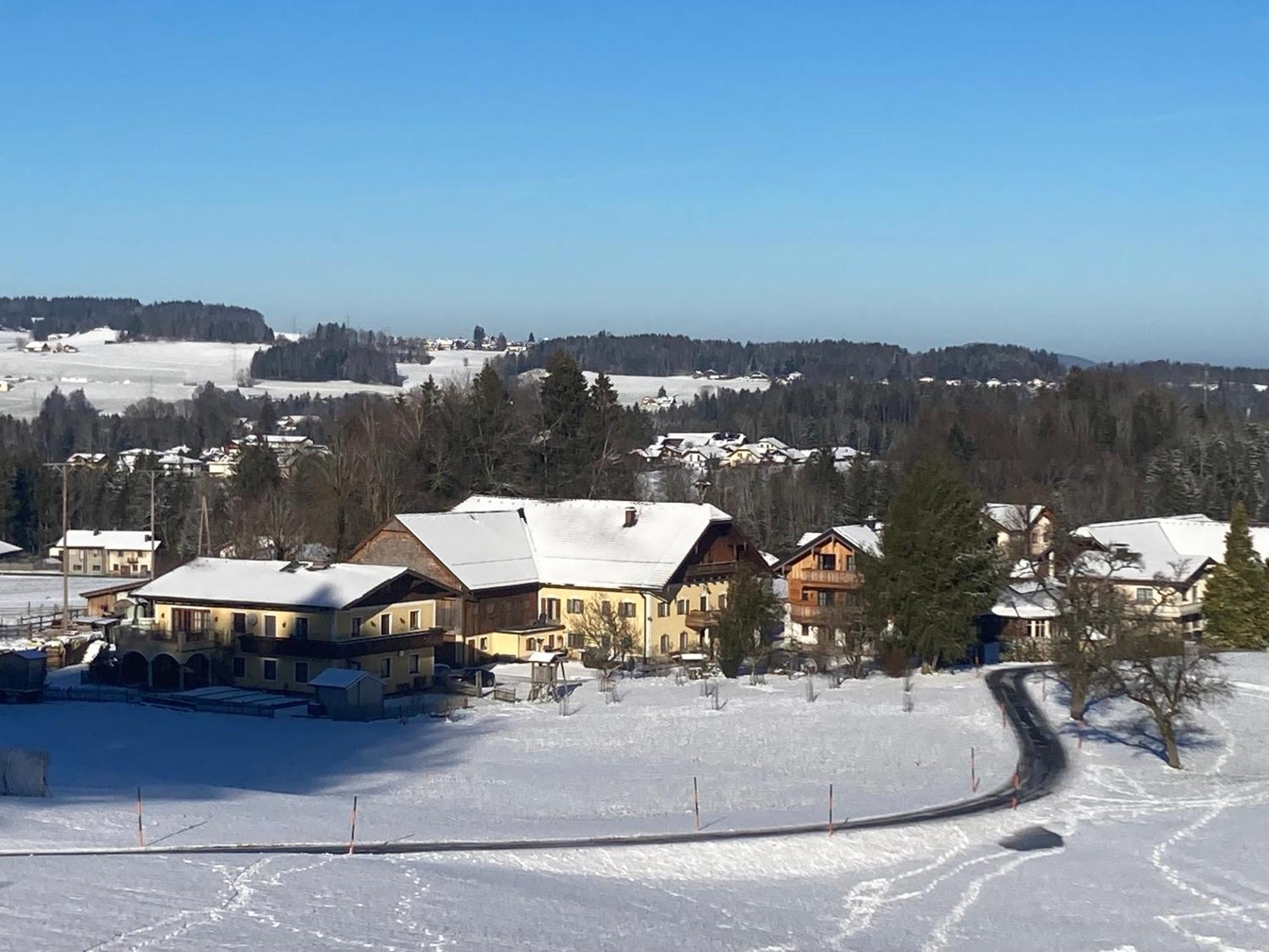 Obereggut Apartamento Hof bei Salzburg Exterior foto