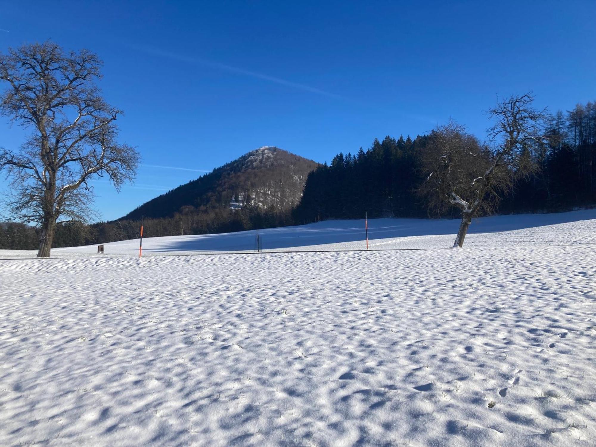 Obereggut Apartamento Hof bei Salzburg Exterior foto